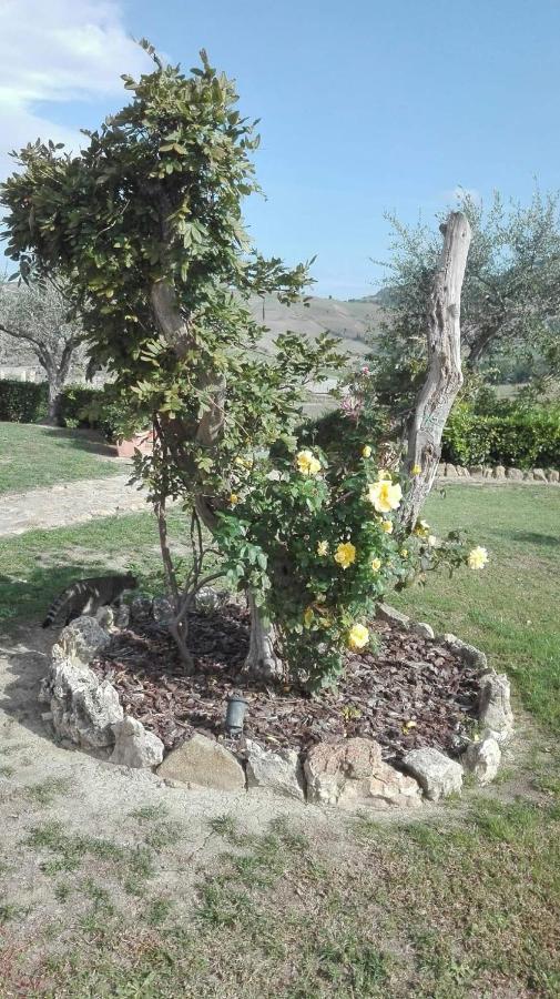 Agriturismo Casa Al Povero Volterra Bagian luar foto